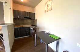 Apartament 1 camera, open space, 40 mp, zona strazii Plopilor