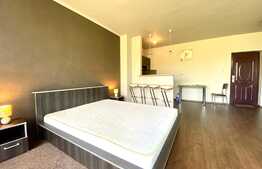 Apartament 1 camera, open space, 40 mp, zona strazii Plopilor