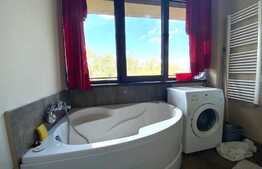 Apartament 1 camera, open space, 40 mp, zona strazii Plopilor