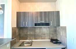 Apartament 1 camera, open space, 40 mp, zona strazii Plopilor