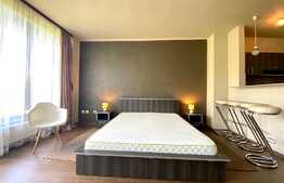 Apartament 1 camera, open space, 40 mp, zona strazii Plopilor