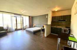 Apartament 1 camera, open space, 40 mp, zona strazii Plopilor