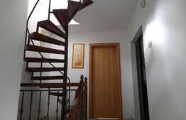 Oportunitate! Casa 752 mp, teren 678 mp, gradina superba, ideala ca si investitie