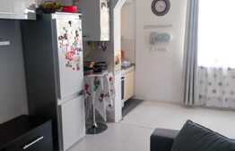 Apartament 2 camere, semidecomandat, 50mp, Edgar Quinet