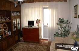 Apartament de vanzare cu 2 camere ,cu  balcon, zona magazinul Profi