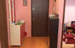 Apartament 2 camere, mobilat+utilat la cheie, bloc nou, zona Campului