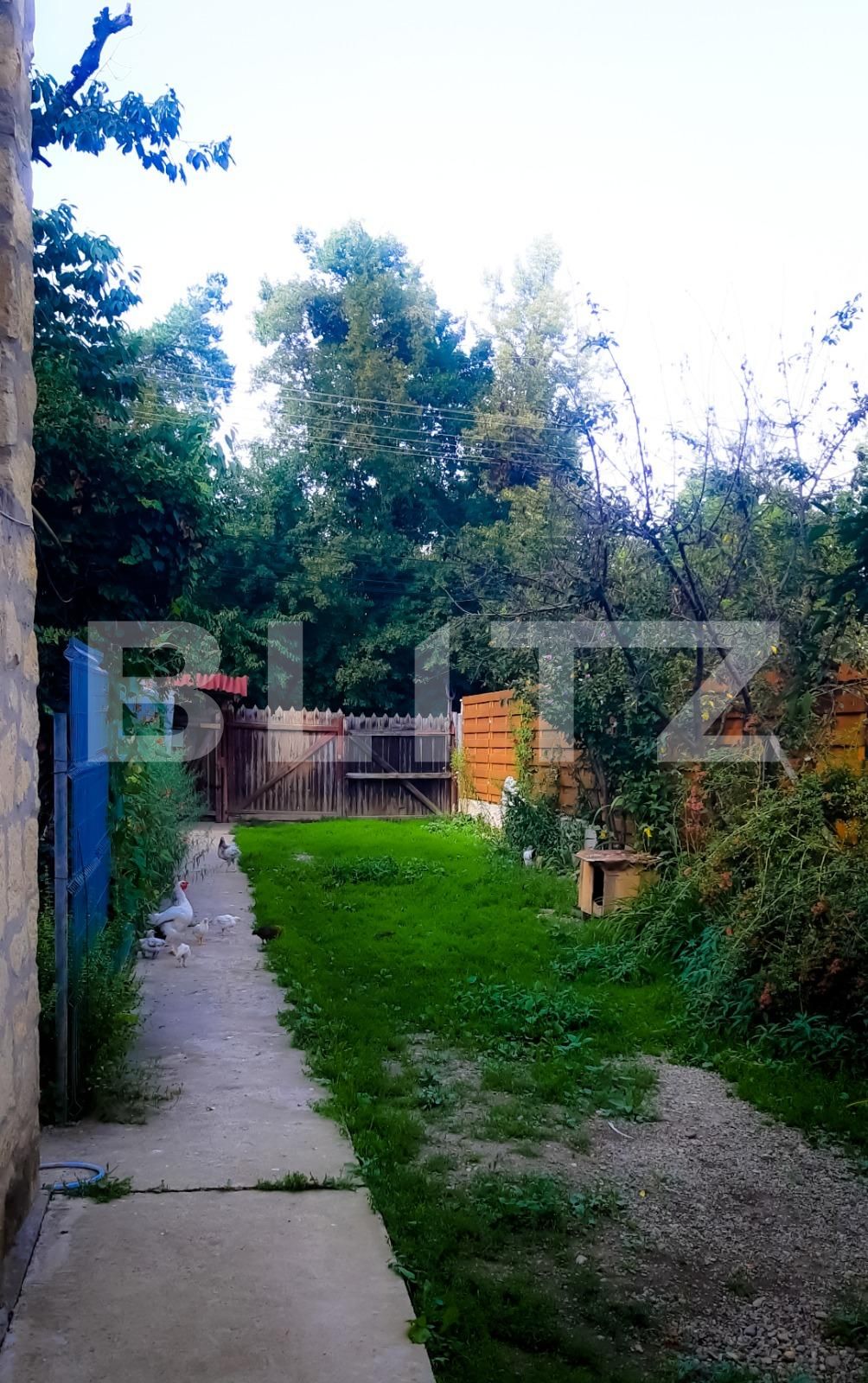 Casa de vânzare 4 camere Gruia - 53129CV | BLITZ Cluj-Napoca | Poza2