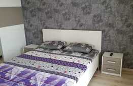 Apartament cu 2 camere, 44 mp, imobil nou, mobilat modern, garaj, zona USAMV