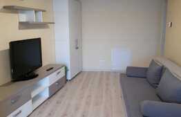 Apartament cu 2 camere, 44 mp, imobil nou, mobilat modern, garaj, zona USAMV