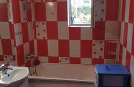 Apartament 2 camere, 57 mp plus teren in fata blocului cu Cf ,posibilitate de spatiu comercial !  zona Petrom Baciu!