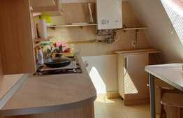 Apartament cu o camera, mobilat si utilat, ideal investitie, zona strazii Trifoiului!