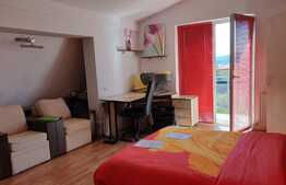 Apartament cu o camera, mobilat si utilat, ideal investitie, zona strazii Trifoiului!