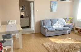 Oportunitate! Apartament 2 camere, 45 mp, finisaje moderne, zona Piata Hermes