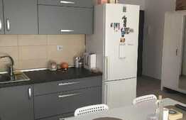 Apartament cu 1 camera, 40 mp, mobilat modern, zona Iullius Mall