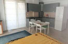 Apartament cu 1 camera, 40 mp, mobilat modern, zona Iullius Mall