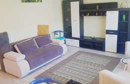 Apartament 2 camere, 50 mp, zona strazii Porii