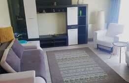 Apartament 2 camere, 50 mp, zona strazii Porii