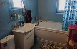 Apartament 2 camere, 50 mp, zona strazii Porii