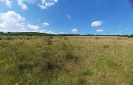 Teren 520mp, zona B-dul. Muncii, cu panorama asupra orasului