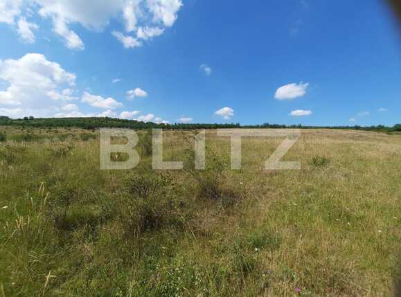 Teren de vânzare Iris - 53163TV | BLITZ Cluj-Napoca | Poza3