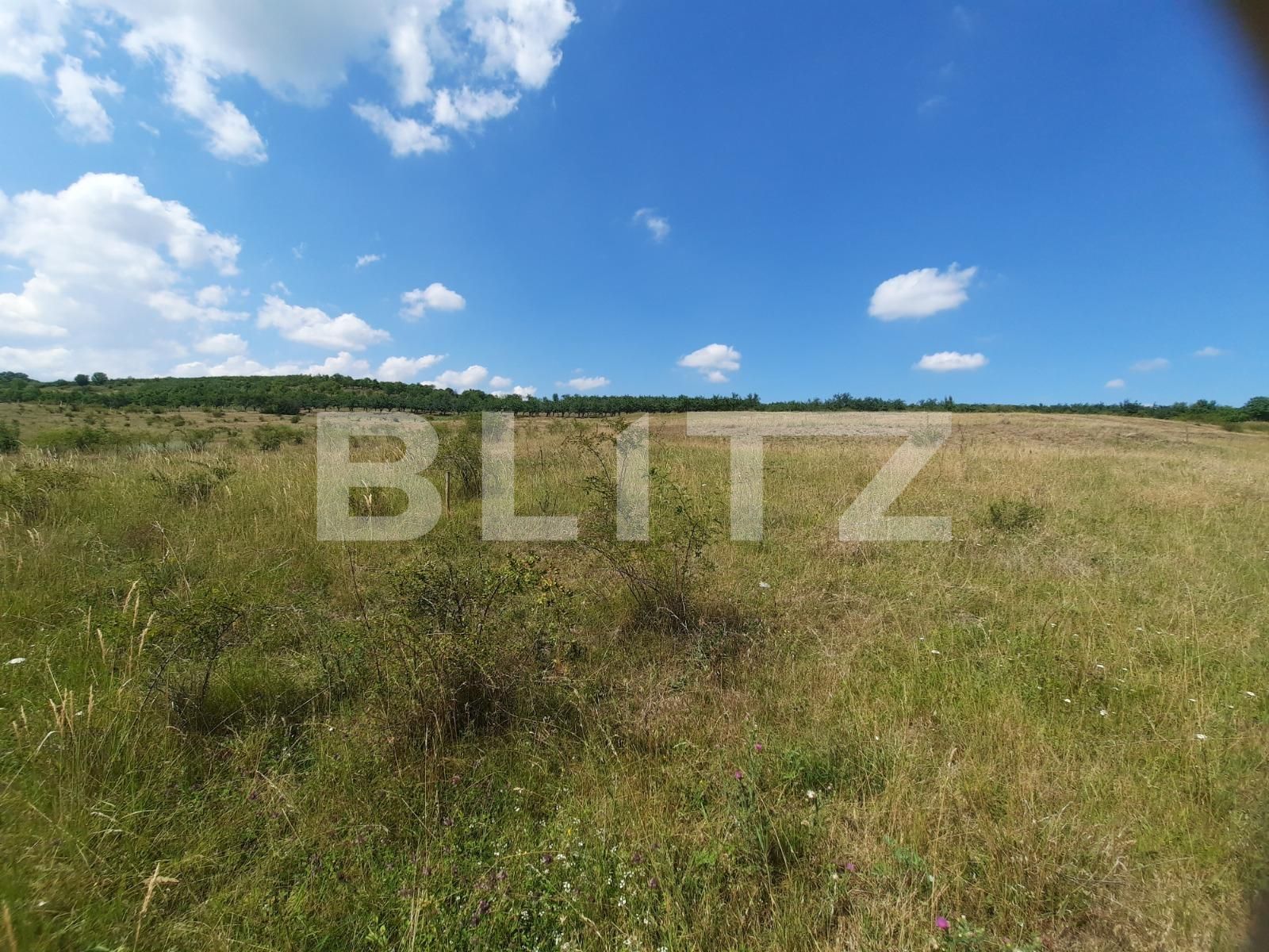 Teren de vânzare Iris - 53163TV | BLITZ Cluj-Napoca | Poza3