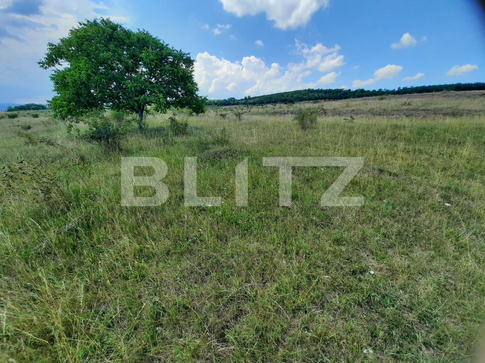 Teren de vânzare Iris - 53163TV | BLITZ Cluj-Napoca | Poza5