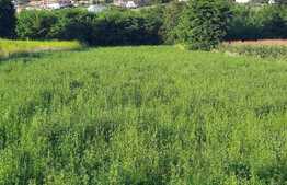 Teren 365mp, PUZ  aprobat in HCL, zona Romul Ladea 