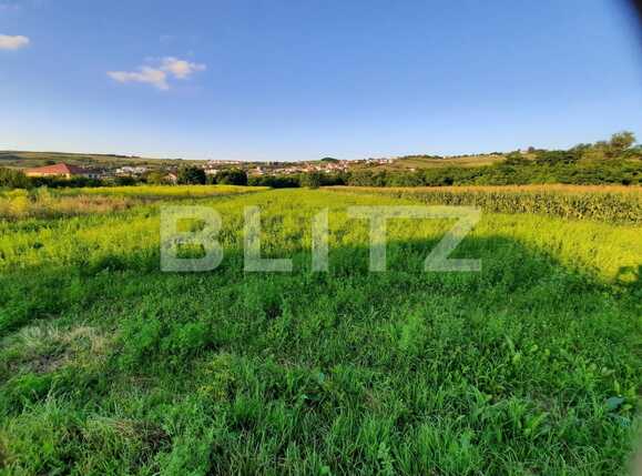 Teren de vânzare Borhanci - 53166TV | BLITZ Cluj-Napoca | Poza1