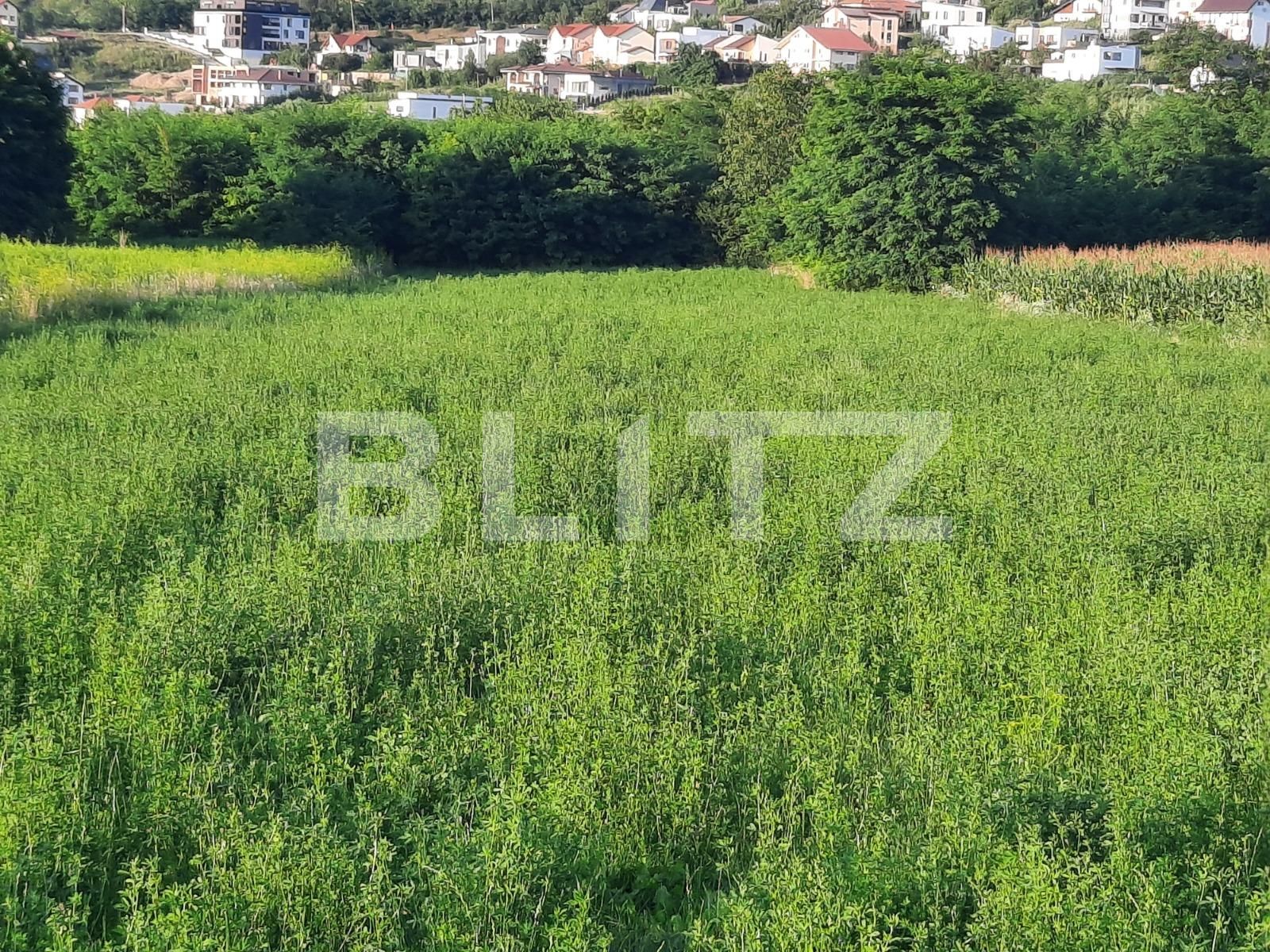 Teren de vânzare Borhanci - 53166TV | BLITZ Cluj-Napoca | Poza2