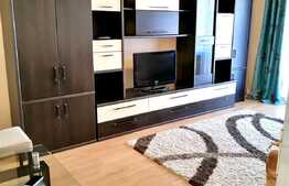 Apartament 1 camera, decomandat, aer conditionat, 42 mp, zona strazii Siretului