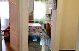 Apartament 1 camera, decomandat, aer conditionat, 42 mp, zona strazii Siretului