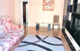 Apartament 1 camera, decomandat, aer conditionat, 42 mp, zona strazii Siretului