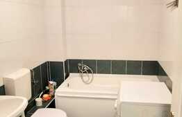 Apartament 1 camera, decomandat, aer conditionat, 42 mp, zona strazii Siretului