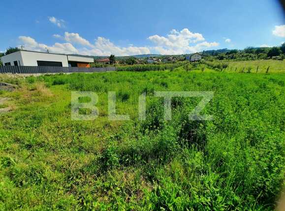 Teren de vânzare Borhanci - 53168TV | BLITZ Cluj-Napoca | Poza2