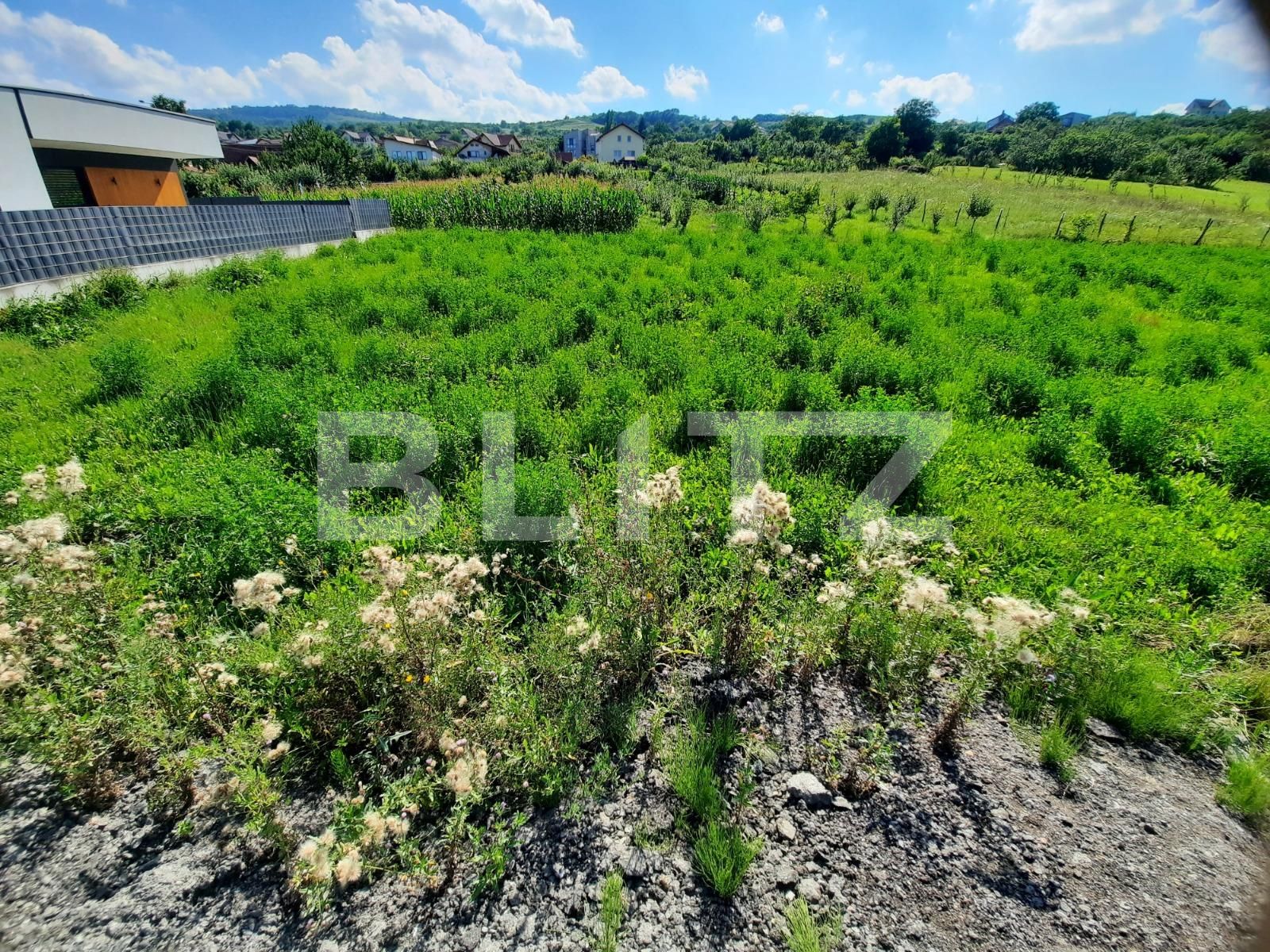 Teren de vânzare Borhanci - 53168TV | BLITZ Cluj-Napoca | Poza3