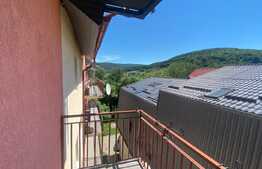 Apartament 2 camere,mobilat,utilat, 58 mp, zona Roata Faget, Vivo