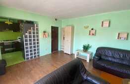 Apartament 2 camere,mobilat,utilat, 58 mp, zona Roata Faget, Vivo