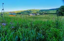  Investitie ! Teren intravilan in Borhanci, 1264 mp, HUB EDUCATIONAL