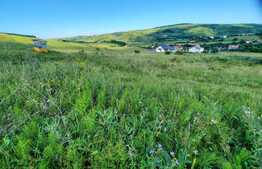  Investitie ! Teren intravilan in Borhanci, 1264 mp, HUB EDUCATIONAL