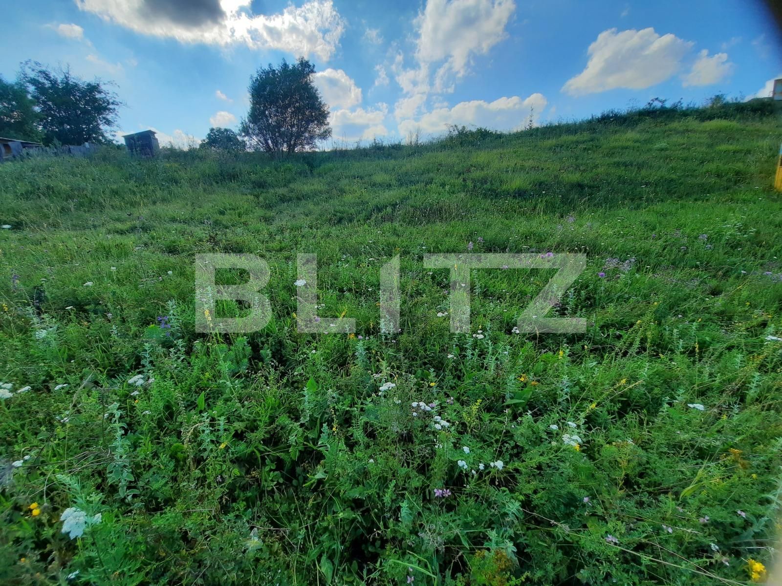 Teren de vânzare Borhanci - 53179TV | BLITZ Cluj-Napoca | Poza4