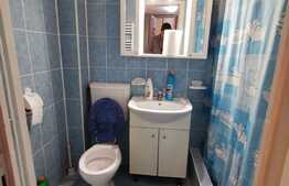 Apartament cu 2 camere, 50 mp, recent renovat, zona strazii Traian