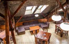 Spatiu comercial, 230 mp, zona Tribunalului