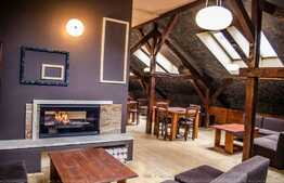 Spatiu comercial, 230 mp, zona Tribunalului