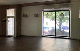 Casa 350 mp, 7 camere, 3 locuri de parcare, zona Dorobantilor