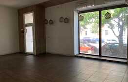 Casa 350 mp, 7 camere, 3 locuri de parcare, zona Dorobantilor