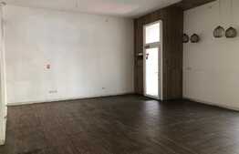 Casa 350 mp, 7 camere, 3 locuri de parcare, zona Dorobantilor