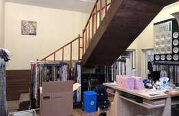 Casa 350 mp, 7 camere, 3 locuri de parcare, zona Dorobantilor