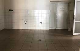 Casa 350 mp, 7 camere, 3 locuri de parcare, zona Dorobantilor