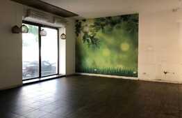 Casa 350 mp, 7 camere, 3 locuri de parcare, zona Dorobantilor