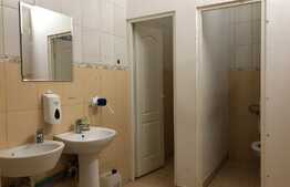 Casa 350 mp, 7 camere, 3 locuri de parcare, zona Dorobantilor